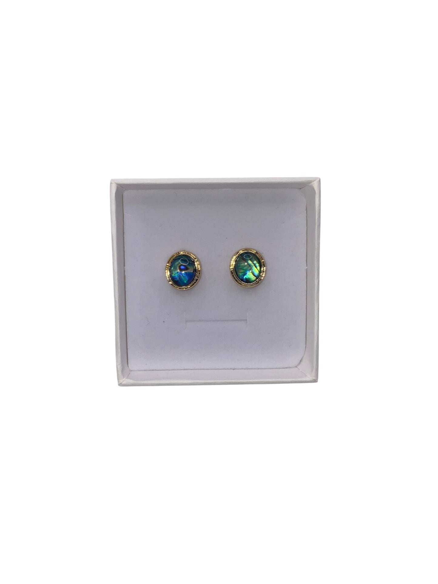 VIBRANT AOTEAROA PĀUA EARRINGS CIRCLE DESIGN 18K GOLD PLATED