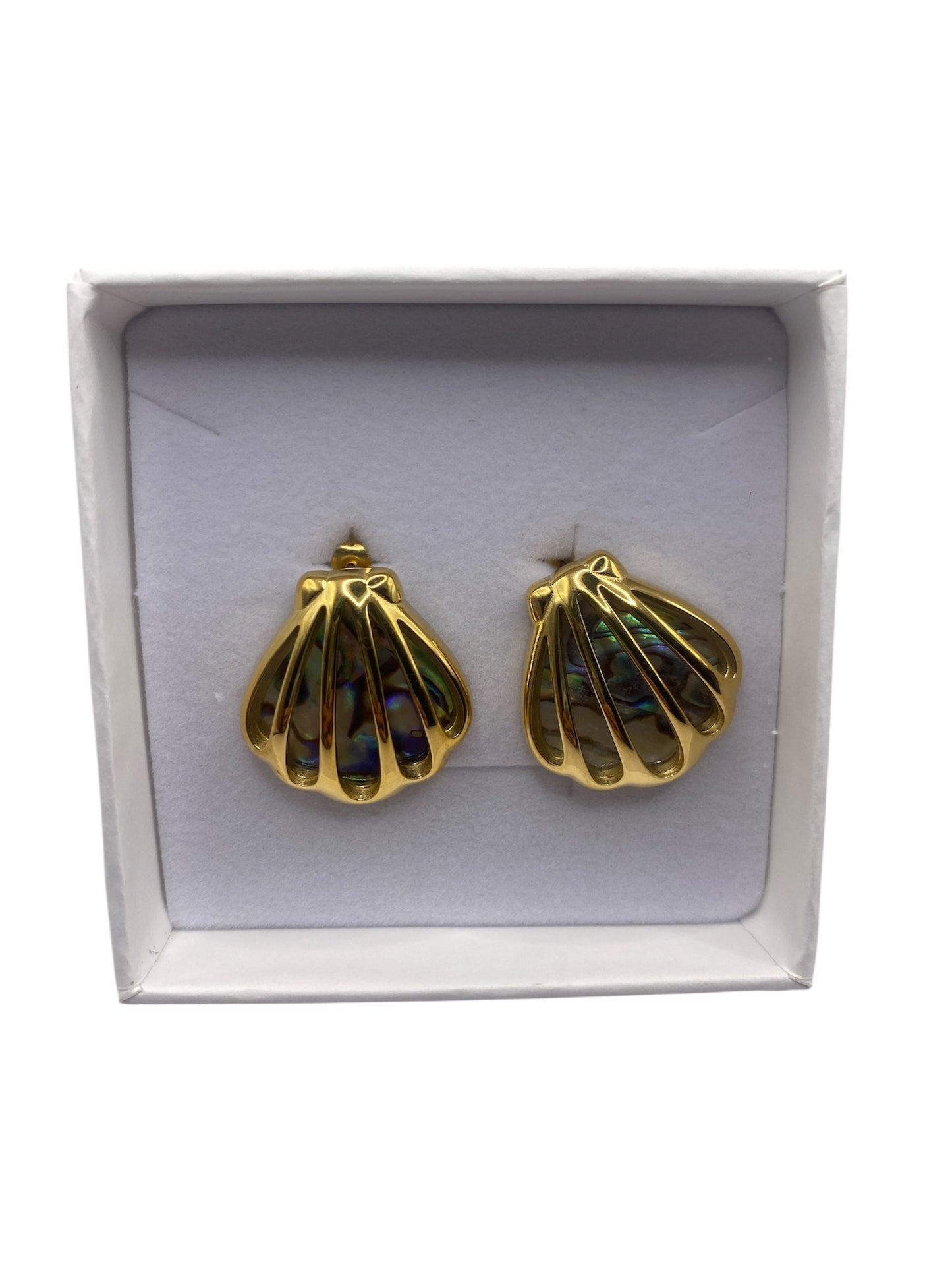 VIBRANT AOTEAROA PĀUA EARRINGS SEASHELL DESIGN 18K GOLD PLATED